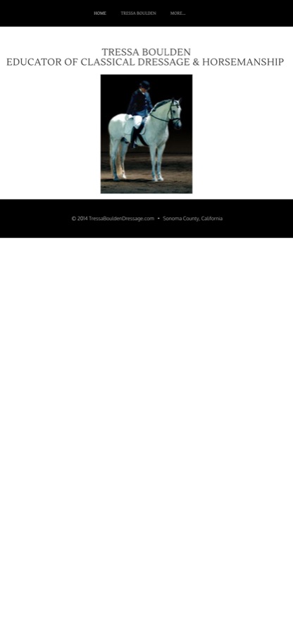 Current homepage as a phone renders it: the entire 960px layout scaled down to about 40 percent, occupying only the top quarter of the screen.